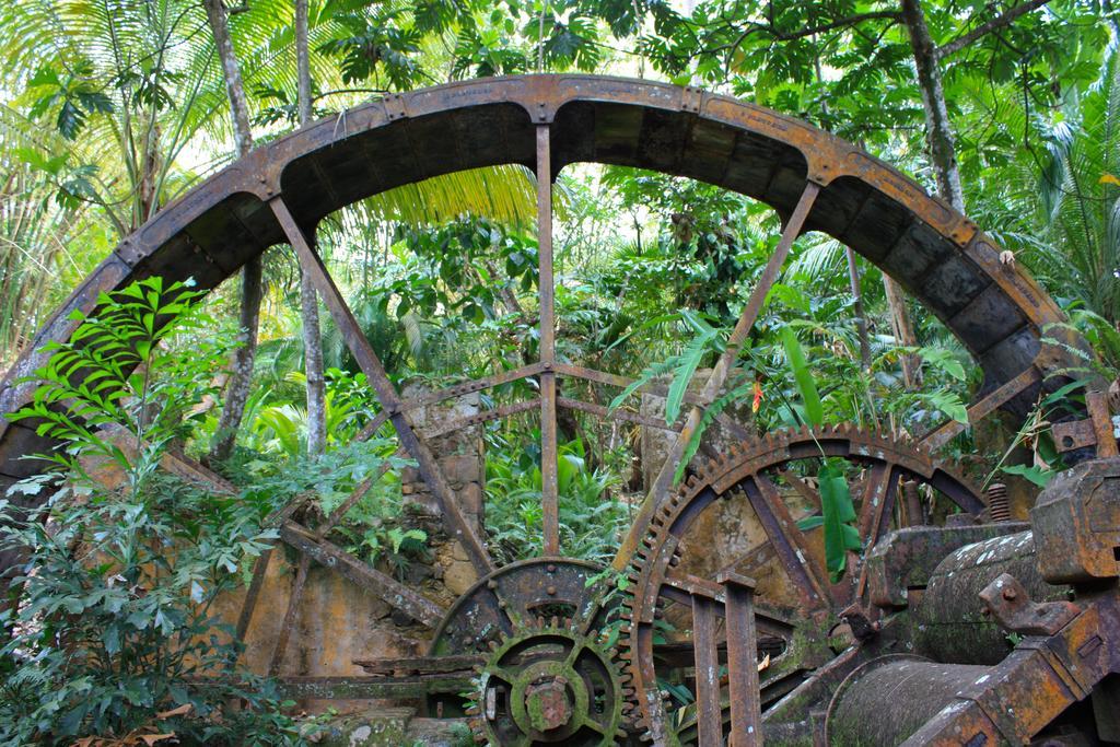 Villa Balenbouche Estate à Laborie Extérieur photo